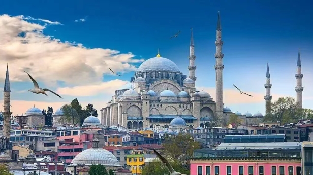 从海关数据看，土耳其进口中国最多的产品有哪些？